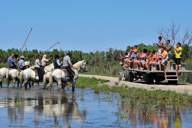 Visit and Discovery in the Heart of the Camargue - Location and Overview