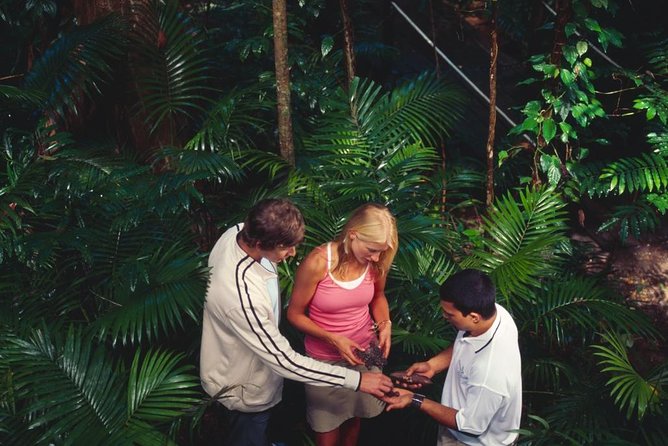 Walkabout Cultural Adventures - We All Stand Together Here Half Day - Cultural Immersion in Port Douglas