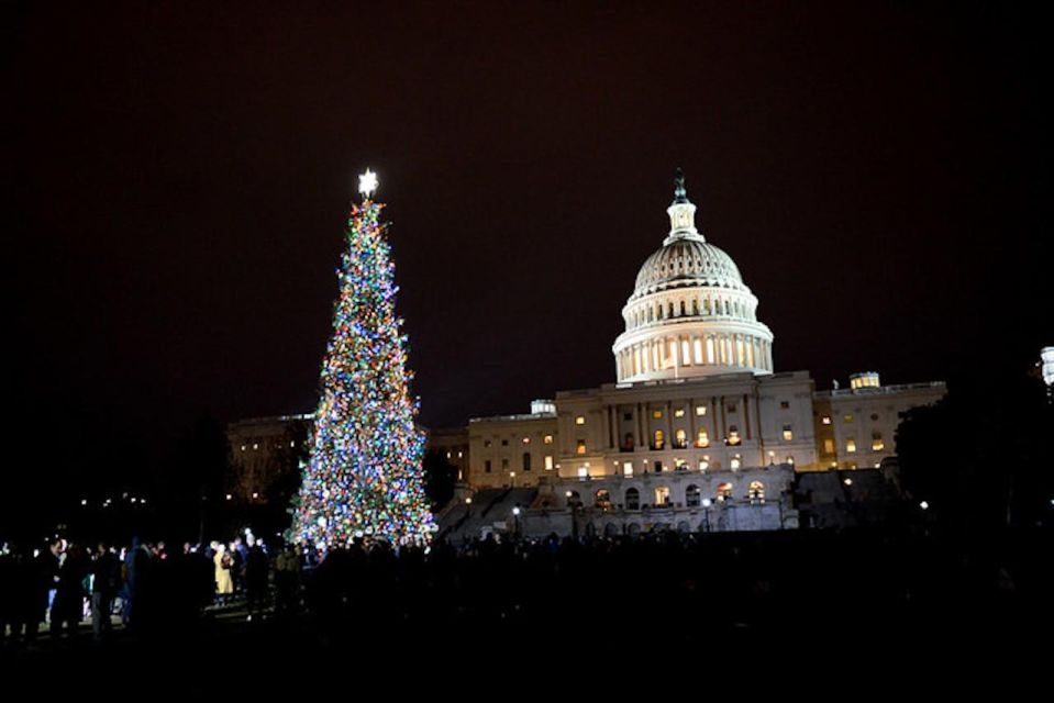 Washington DC: Moon Light Tour of National Mall & Memorials - Booking Information