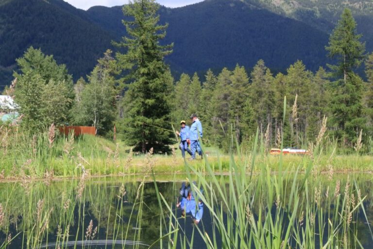 West Glacier: 1-Hour Fly Casting Lesson