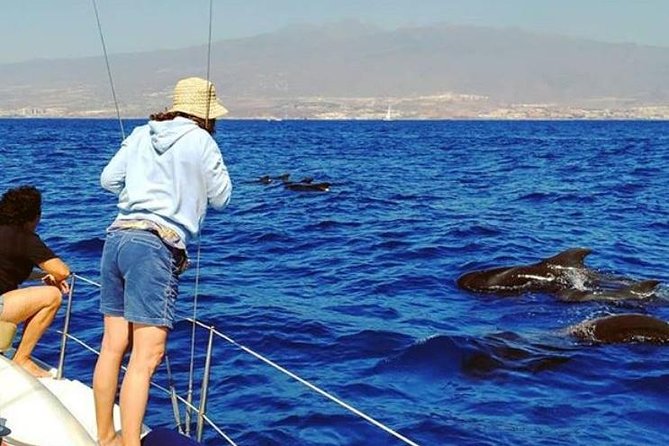 Whale and Dolphin Small Group Sailing From Tenerife South - Location and Departure Point