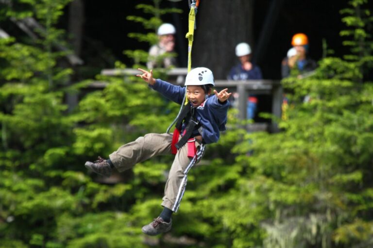 Whistler Zipline Experience: Ziptrek Bear Tour