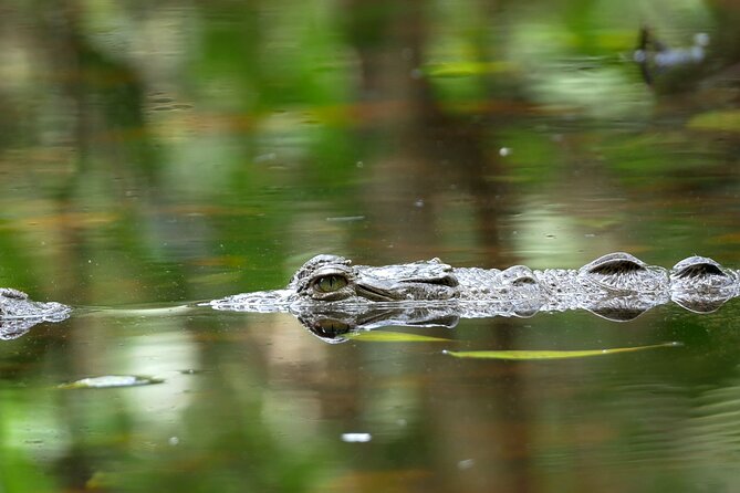 Wildlife Safari Float by Kayak in Peñas Blancas River From Arenal - Booking Details and Amenities