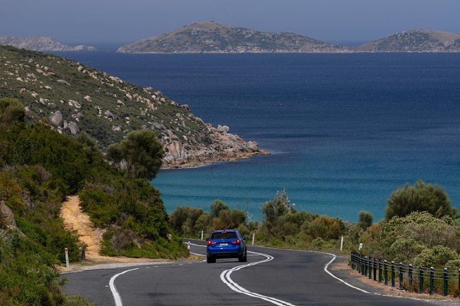 Wilsons Promontory Small Group Eco Tour From Melbourne