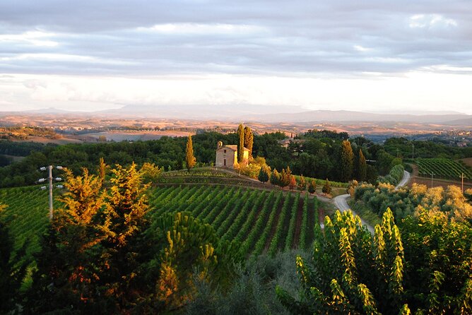 Wine Tasting at the Winery in the Panoramic Terrance - Wine Tasting Schedule