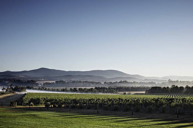 Yarra Valley Exceptional - Private Day Tour - for 2 - With Lunch - Luxury Private Day Tour Experience