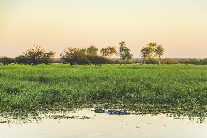 Yellow Water Cruise – Kakadu