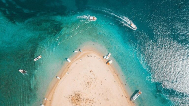 Zakynthos: Laganas Marine Park Speedboat Tour With Swimming