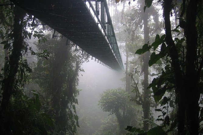 Zipline and Hanging Bridges Combo Tour in Monteverde Cloud Forest