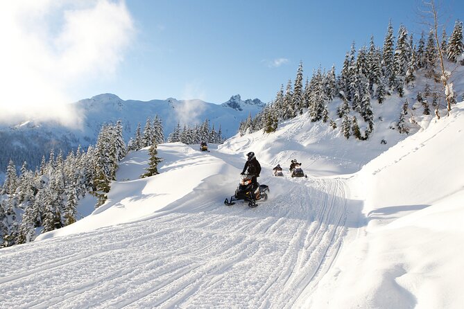 2 Hour Whistler Wilderness Adventure Snowmobile Tour - Key Points