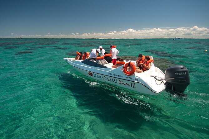 1-Day Tour to Maracajaú - From Natal (Optional Speedboat) - Logistics