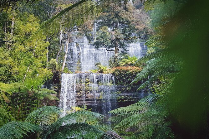 10 Days Ultimate Guided Tour of Tasmania - Comfort Tour - Exploring Tasmanias National Parks