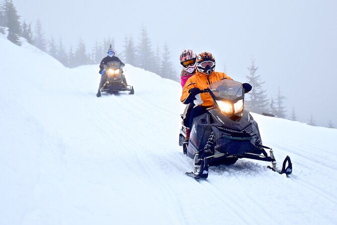 2 Hour Whistler Wilderness Adventure Snowmobile Tour - Booking Process Overview