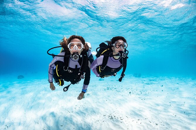 3-Hour Guided PADI Scuba Diving Experience in Tenerife - What to Expect