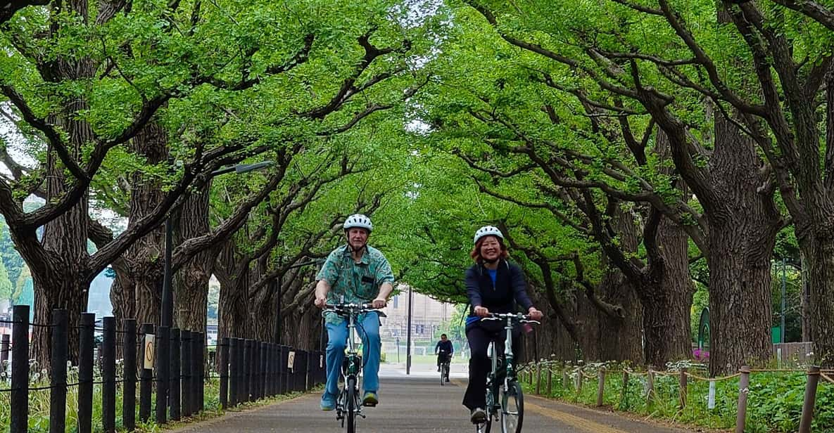 3-hour Private E-bike Tour in Tokyo Starts at Your Hotel - Customization Options for Private Tours