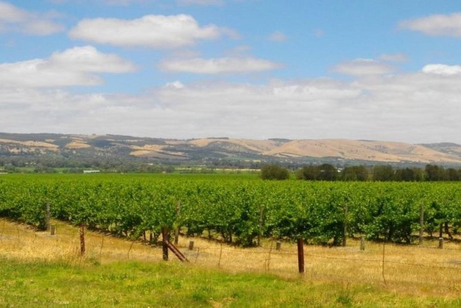 8-Hour Mclaren Vale Winery Tour From Adelaide - Itinerary and Schedule