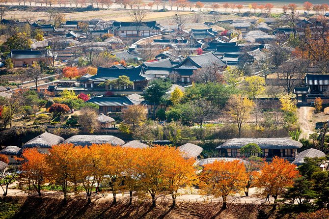 Active Seniors Korea Tour 11Days 10Nights - Itinerary and Schedule Details