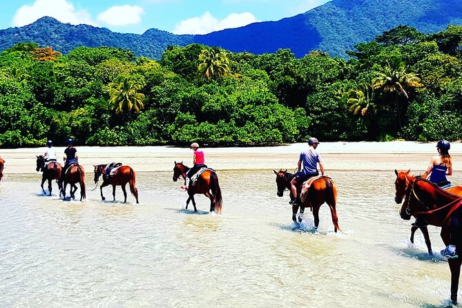 Afternoon Beach Horse Ride in Cape Tribulation - What to Expect on Tour