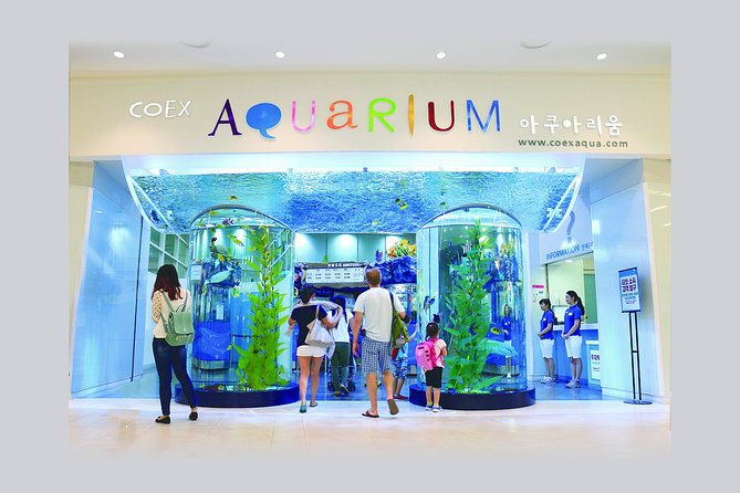 Afternoon Coex Aquarium, Han River Cruise Tour - Han River Cruise Experience