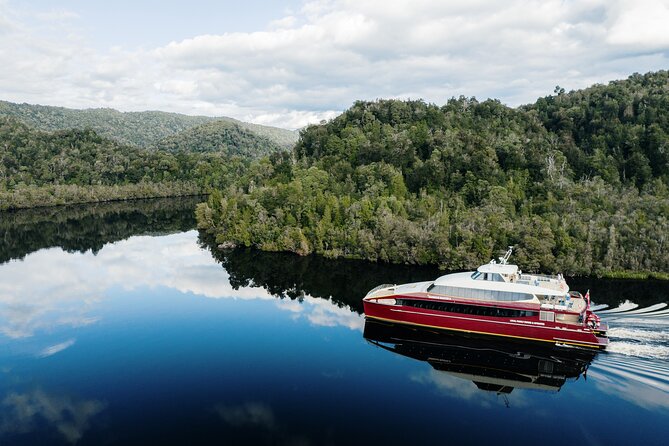 Afternoon Gordon River Dinner Cruise - Accessibility and Special Needs