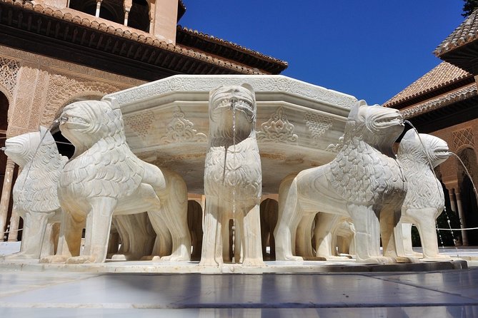 Alhambra Skip-The-Line Private Tour Including Nasrid Palaces - Tour Highlights and Inclusions