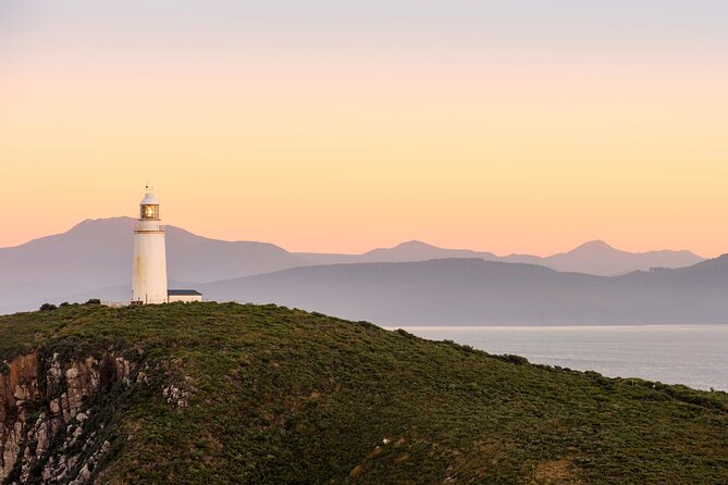 All Inclusive Private Bruny Island Discovery Tour - Inclusions and Experiences