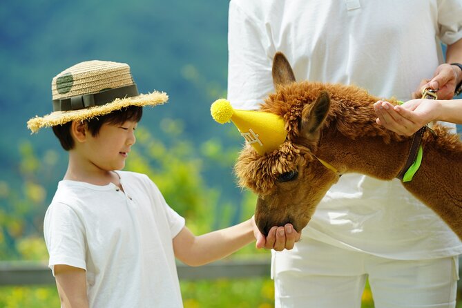 Alpaca World Tour With Nami Island & Optional Railbike or Garden - Meeting and Pickup Details