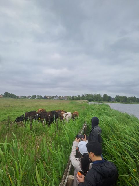 Amsterdam Countryside Bike and Kayak Tour - Experience Highlights