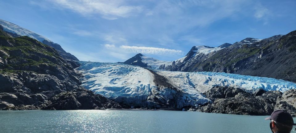 Anchorage: Glacier and Wildlife Explorer Cruise - Up-Close Wildlife Encounter