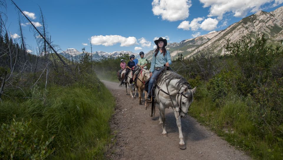 Banff: 3-Hour Bow Valley Loop Horseback Ride - Highlights