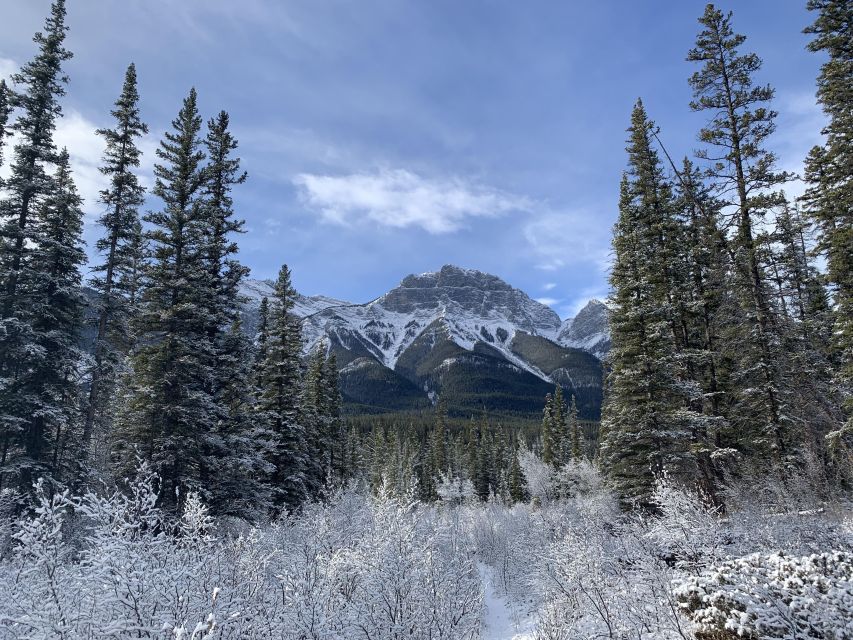 Banff: Local Legends and Landmarks - History Tour 2hrs - Booking Information