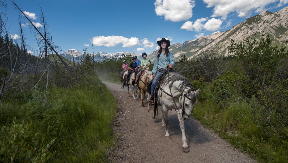 Banff National Park: 2-Hour Sundance Loop Horseback Ride - Climb Sulphur Mountain to Windy Knoll