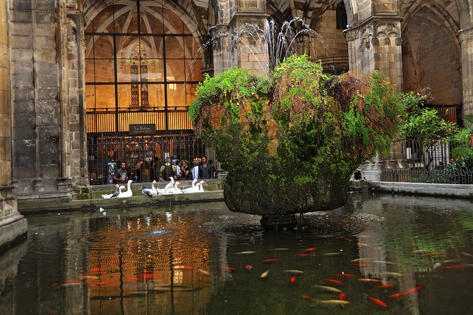 Barcelona Gothic Quarter Walking Tour - Language Options and Meeting Point