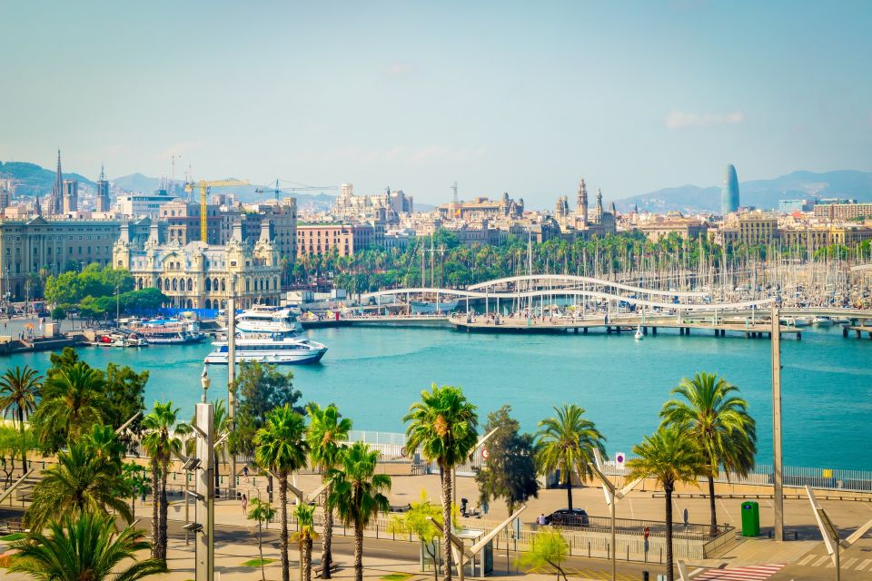 Barcelona Old Town Private Walking Tour With Cruise Tickets - Languages Available and Accessibility