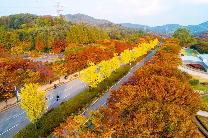 Best View Seoul Autumn Foliage Tour - Tour Itinerary Highlights