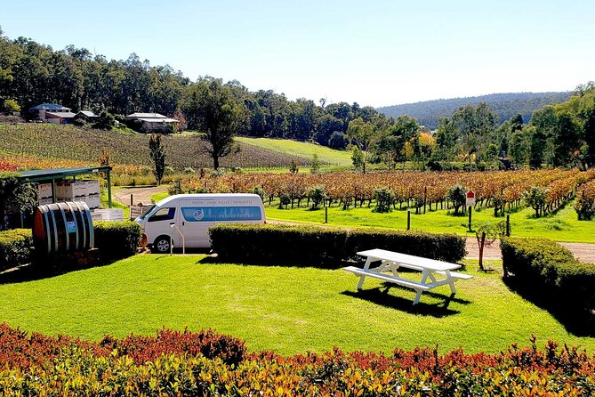 Bickley Valley Wine & Cider Tour - Premium Small Group Tour - What to Expect on Tour