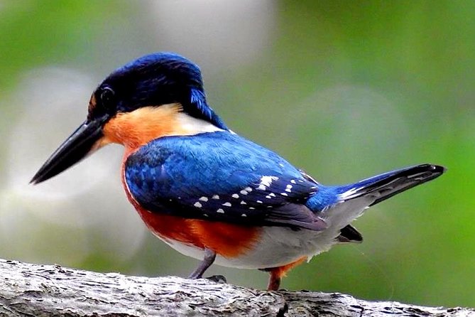 Birdwatching in Sian Kaan and Muyil Archaeological Site From Tulum - Pickup Details