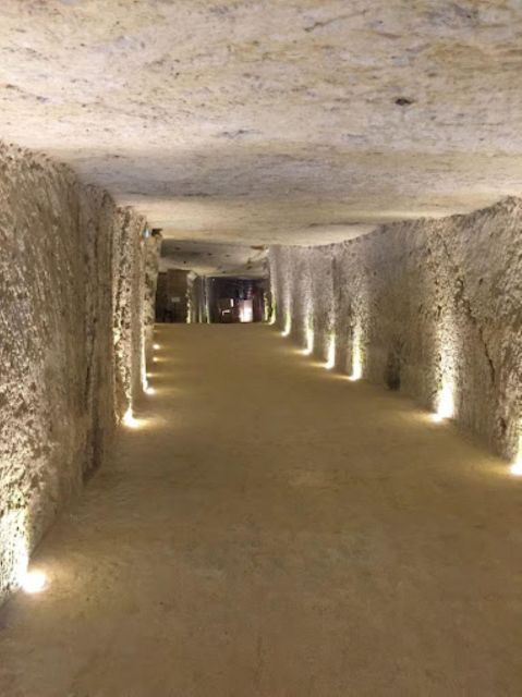 Blois: Exclusive Wine Tasting in Cheverny and Cour Cheverny - Experience and Highlights