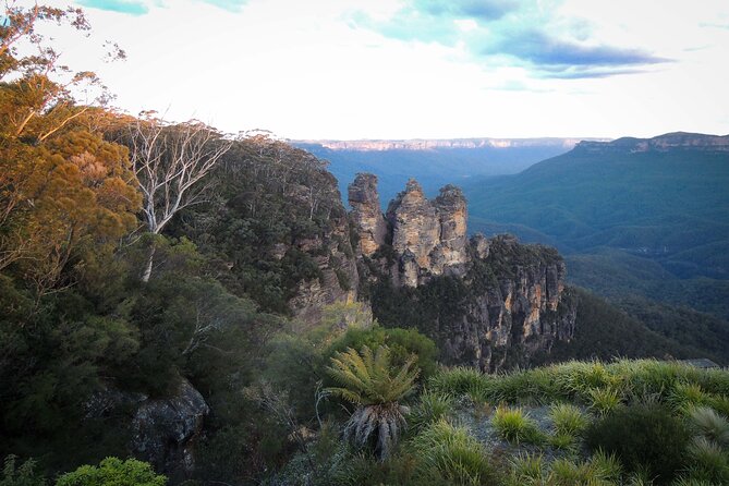 Blue Mountains Private Charter - Scenic Views and Bush Walks