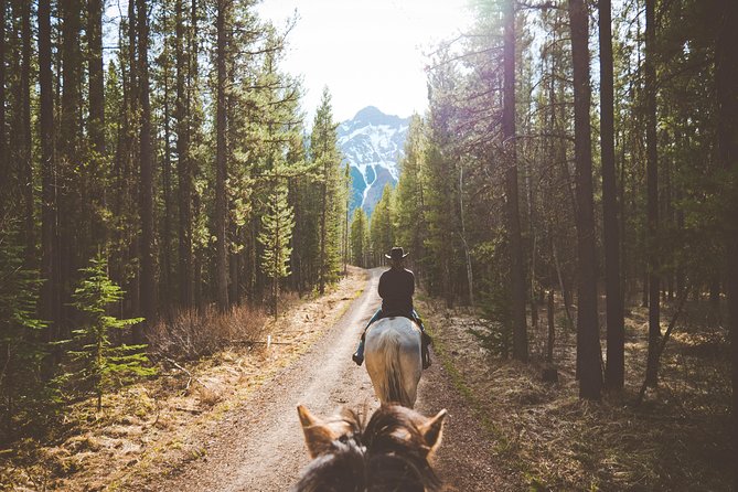 Buffalo Loop 1-Hour Horseback Trail Ride in Kananaskis - Meeting and Reservation