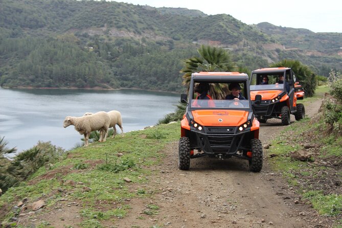 Buggy Adventure With Incredible Views of the Sea and the Reservoir - Reviews and Feedback