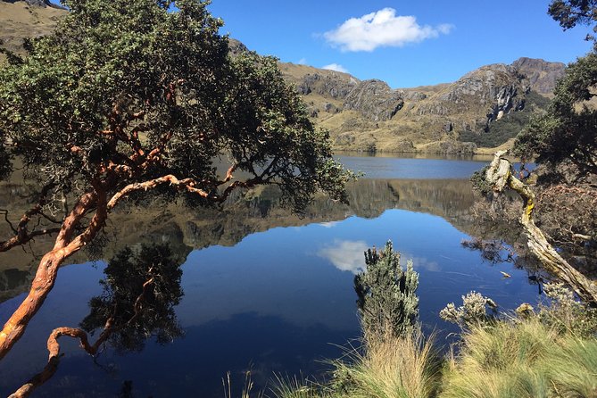 Cajas Unveiled: a Half-Day Escape From Cuenca - Overview of the Guided Tour