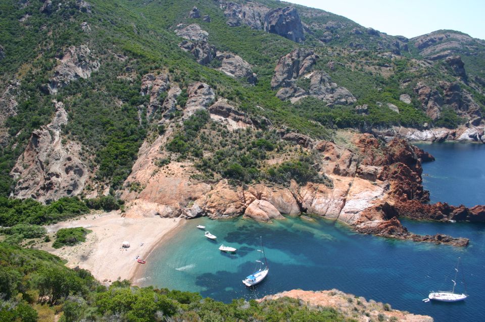 Calvi to Scandola: 4-Hour Boat Tour - Location and Duration