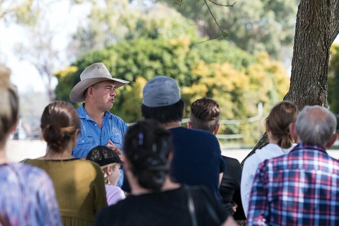 Camel Farm Tour and Taste - Camel Milk Tasting Delights