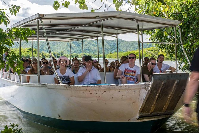 Cape Tribulation, Mossman Gorge, and Daintree Rainforest Day Trip - Meeting Your Guide and Pickup