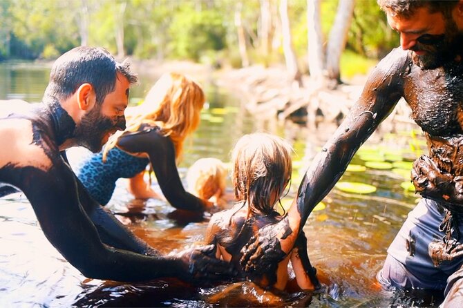 Chasing Waterfalls - Byron Shire - Scenic Drives and Private Transport