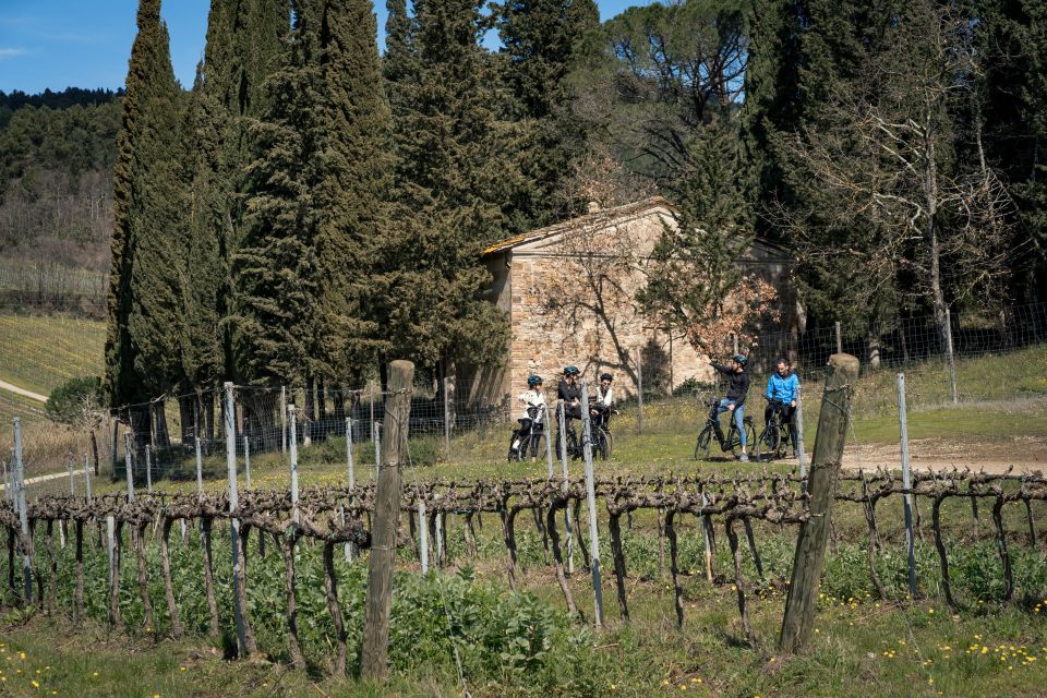 Chianti Classico: E-Bike Tour With Lunch and Tastings - Tour Description