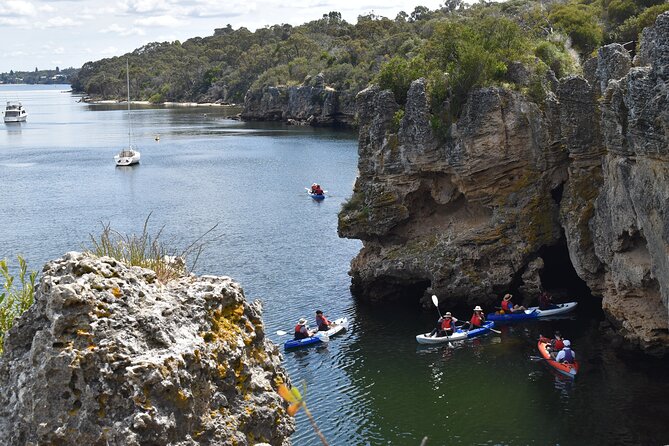 Cliffs and Caves Kayak Tour in Swan River - Meeting Point and Logistics