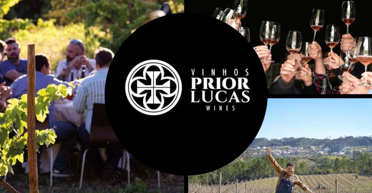 Coimbra: Prior Lucas Winery and Vineyard Visit With Tastings - Customer Reviews