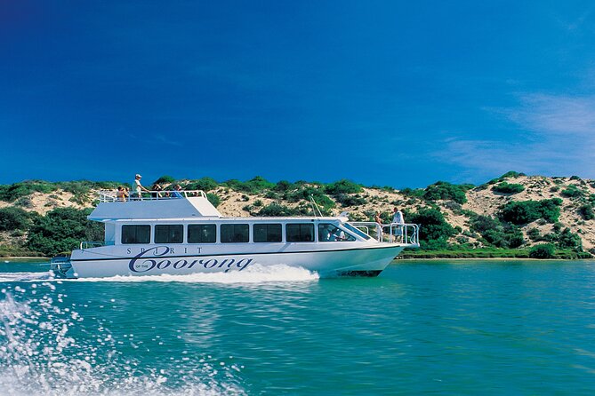 Coorong 3.5-Hour Discovery Cruise - Cruise Highlights and Features